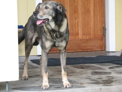 Https Www Sonnenhof Li Fileadmin User Upload Zeitungen Nzz 20 06 Pdf