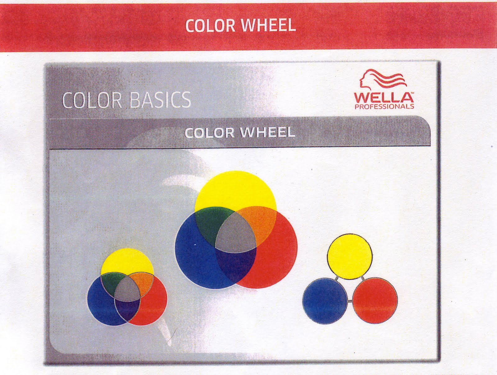 Wella Lightening Curve