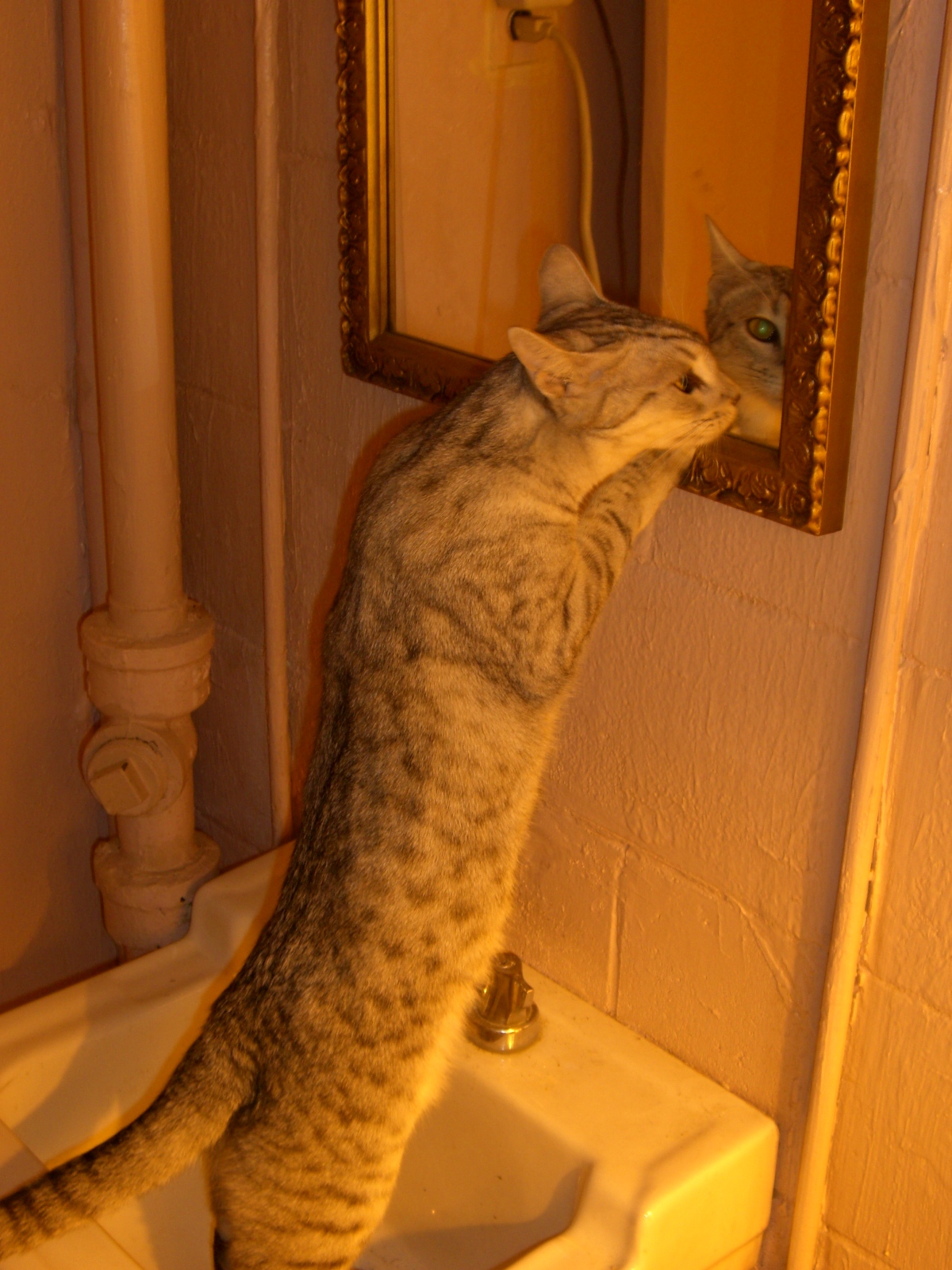 [blue_in_mirror.JPG]