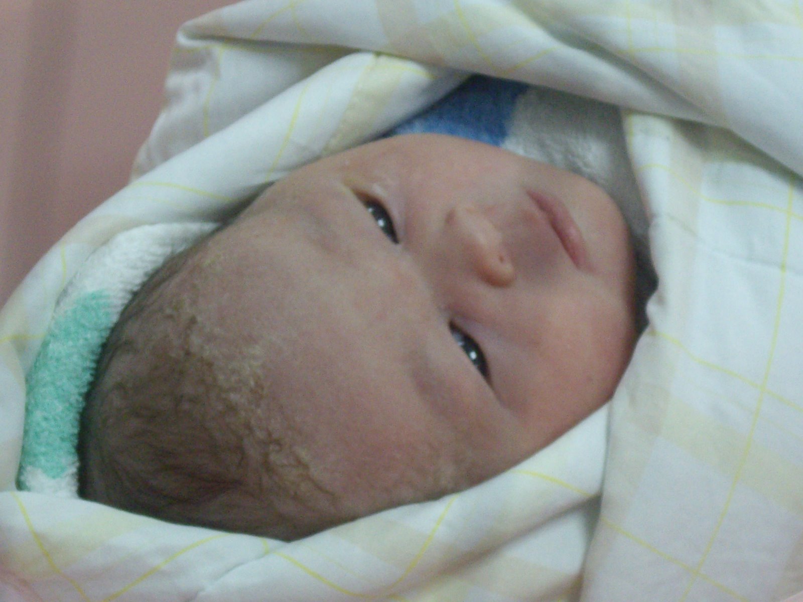 [IMGP0203.JPG]