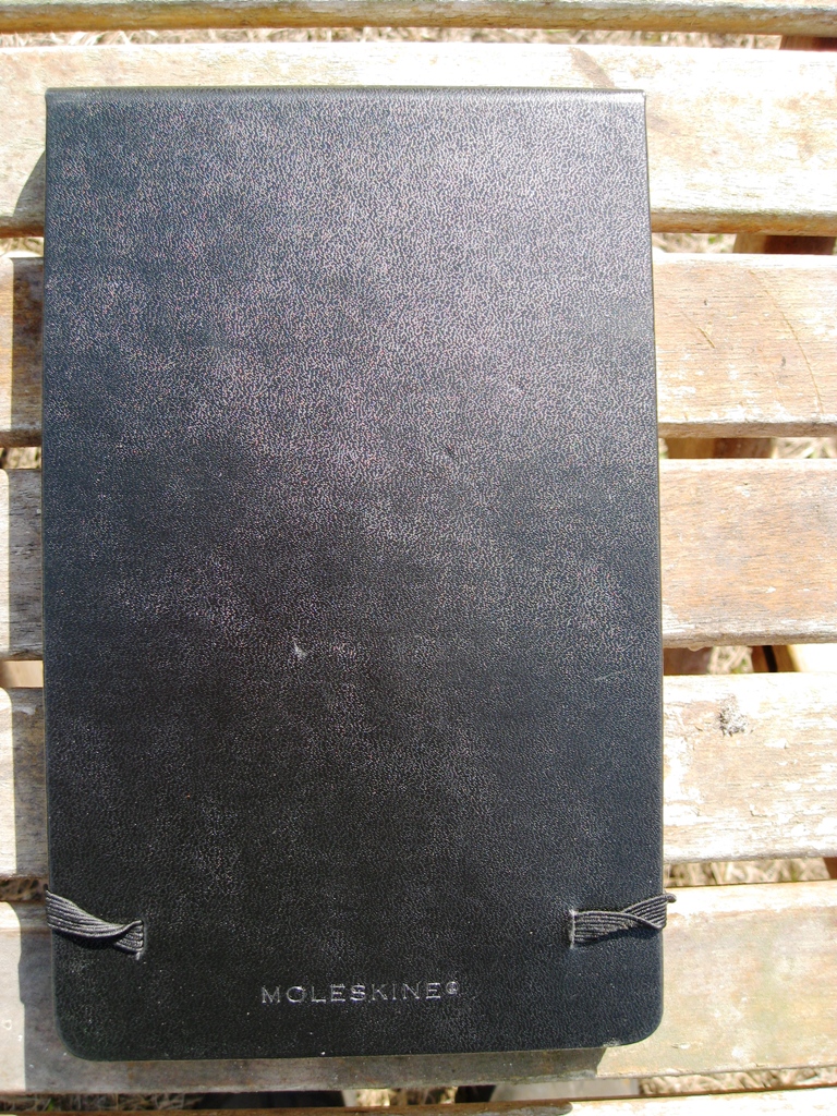 Pens Paper Inks...Whatever! Moleskine Watercolor Journal