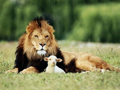 lion+and+lamb.jpg
