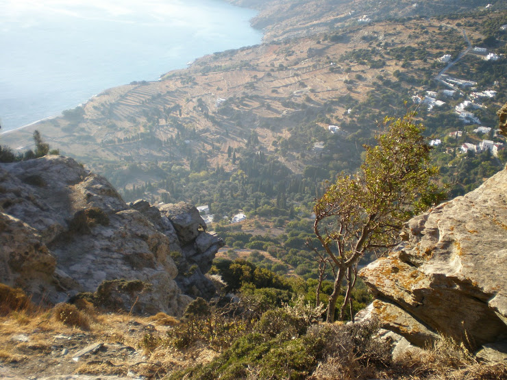 Η ΘΕΑ ΑΠΟ ΤΑ ΚΤΗΜΑΤΑ