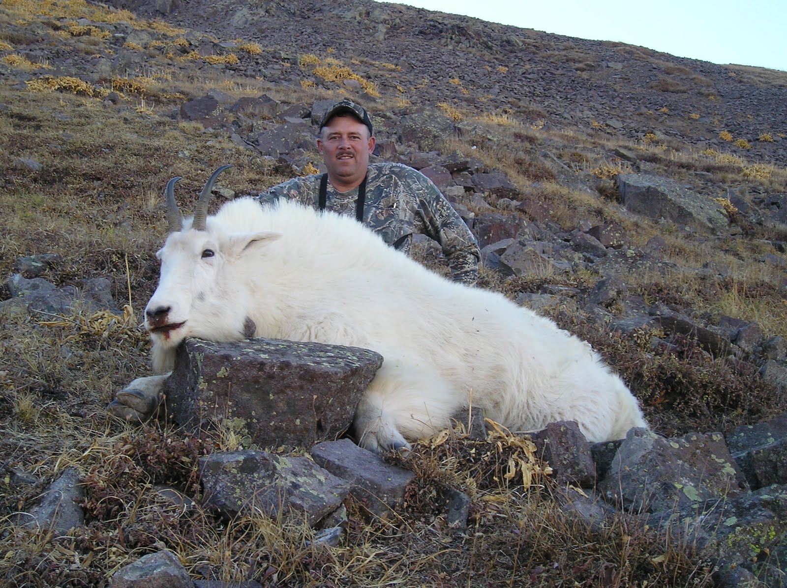 Bryan Carter Hunting Utah Mountain Goat Hunt