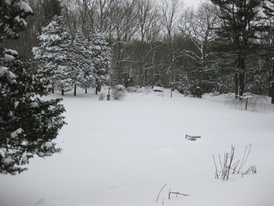 [snowd.JPG]