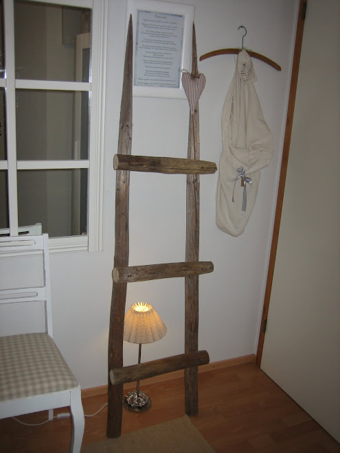 LUMIMETSÄ LUMIMETSÄ