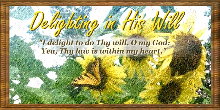 Delighting in His Will