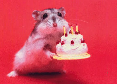 Birthday+Hamster.bmp