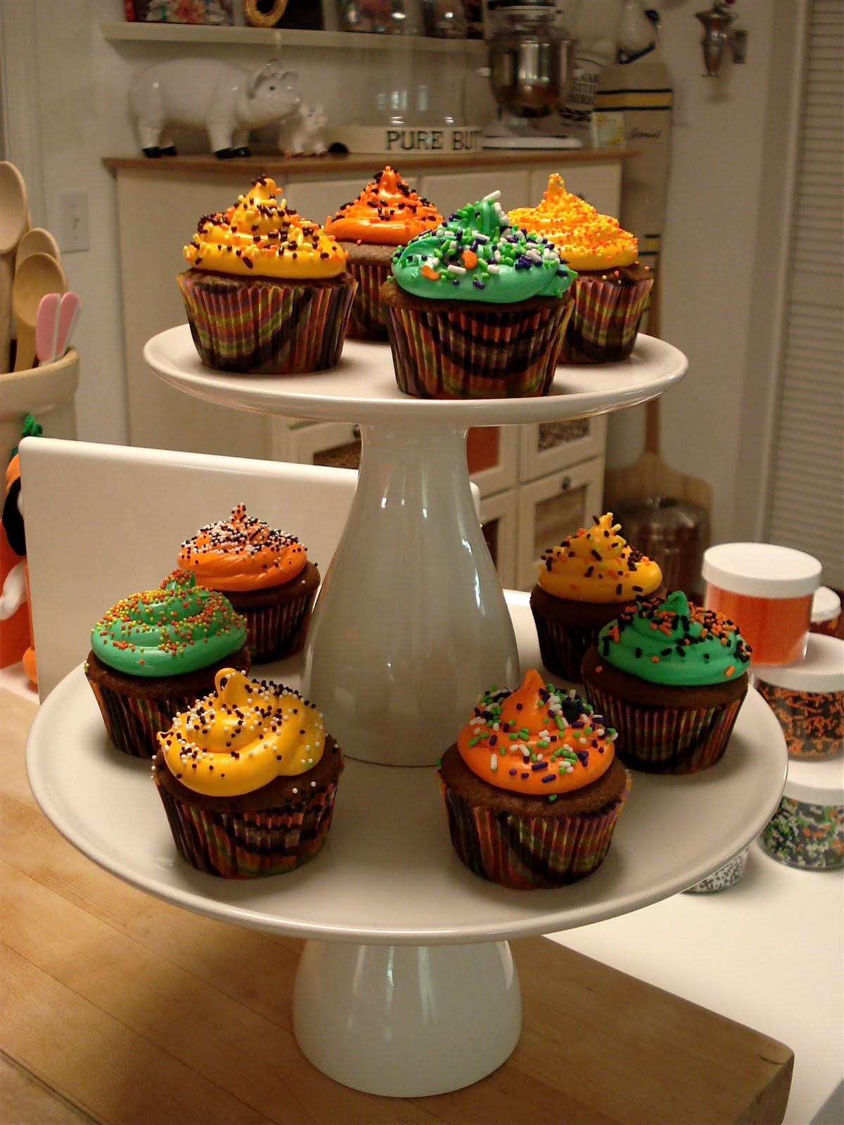 [DSC09565.JPG]