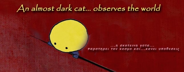 An almost dark cat...observes the world