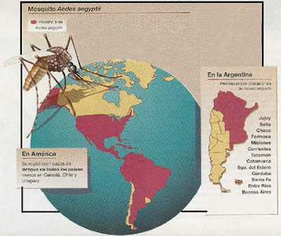 Campaña Publicitaria contra el dengue - Informate - Campaña Publicitaria contra el dengue - Informate -