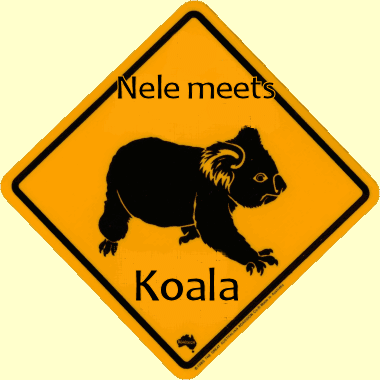 Nele meets Koala