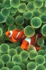 Underwater