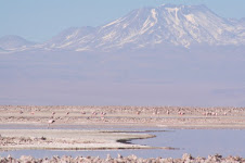 Salar de Atacama