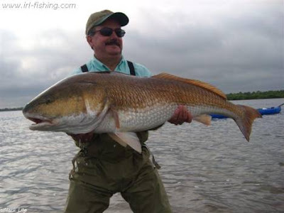 fishing saltwater redfish lagoon hefty harold