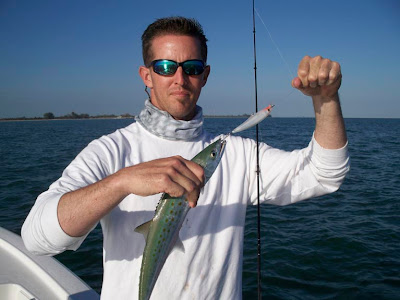 spanish mackerel