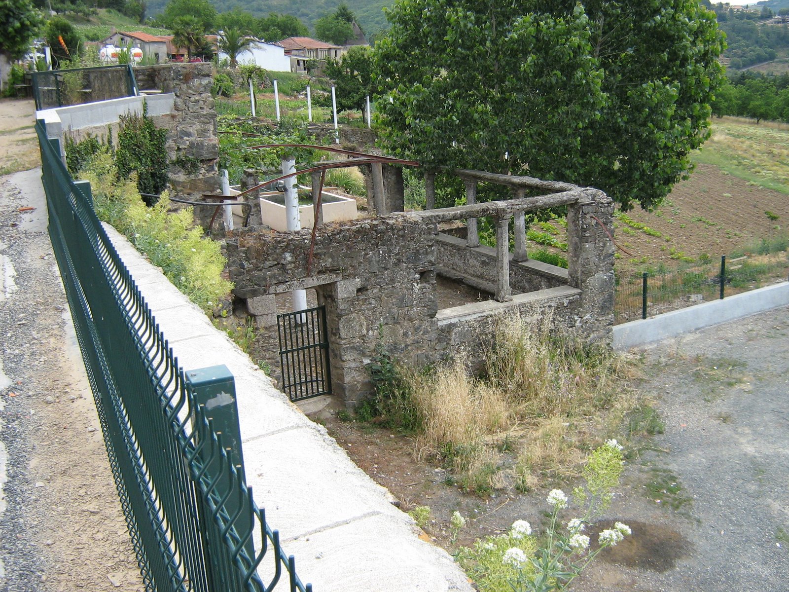 [SemColunata.26.06.2006.jpg]