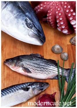 [peixe.jpg]