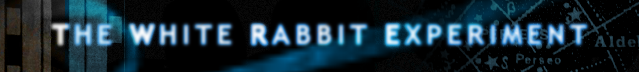 The White Rabbit Experiment