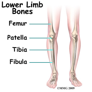 My English Class: December 2010