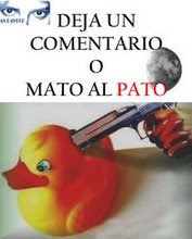 frases