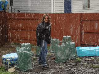 Snow in May 2010