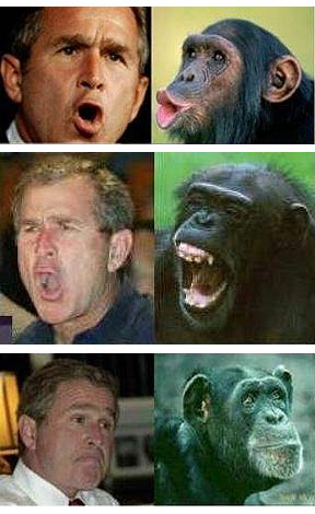 [bush999.jpg]