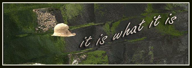 it is what it is