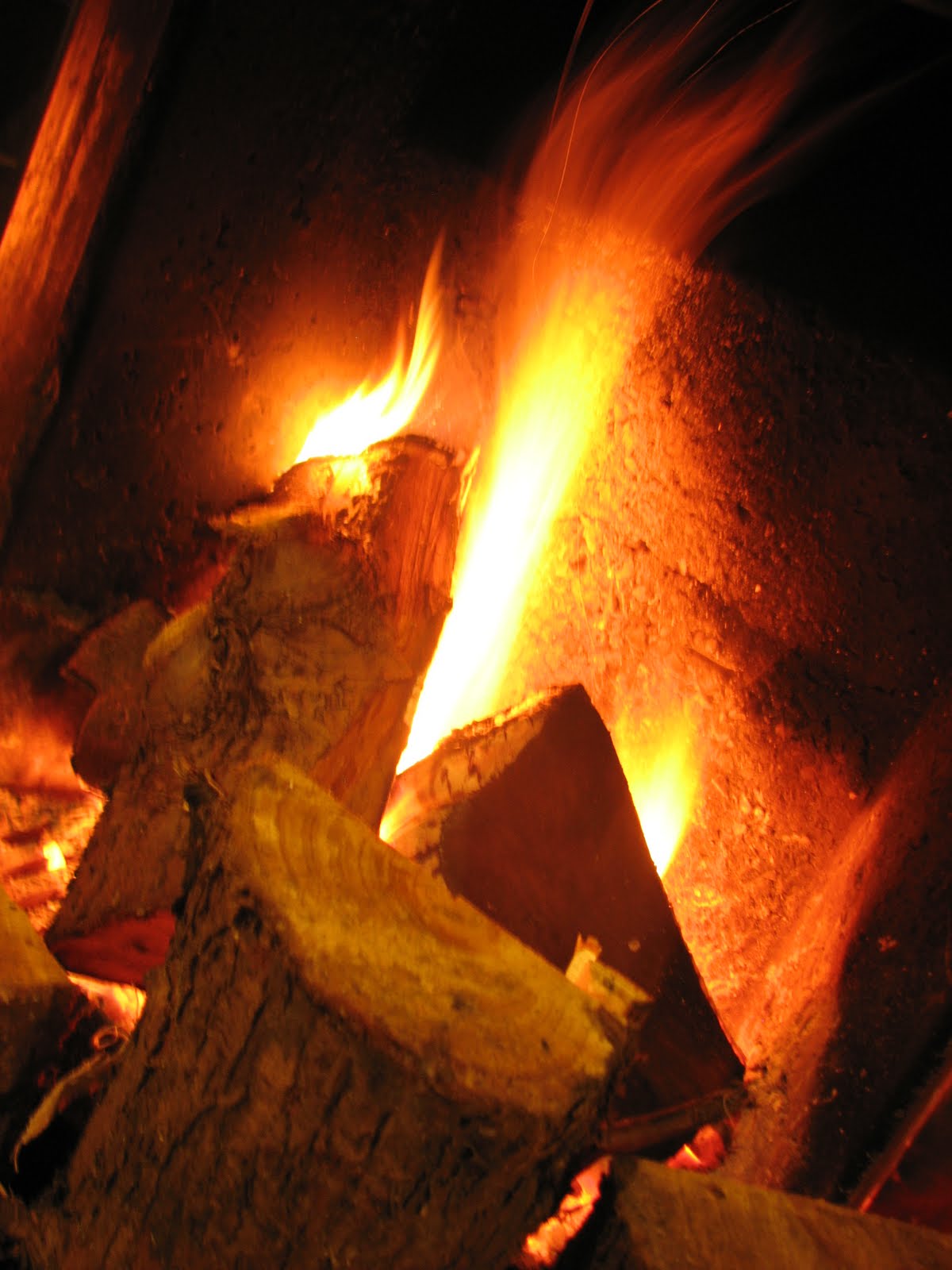 [IMG_0012.JPG]