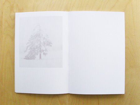 [hassla.treezone.JPG]