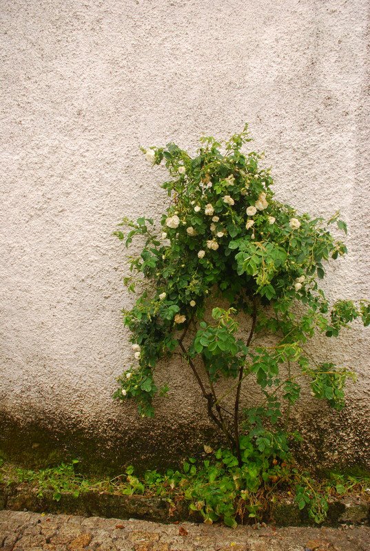 [Resize+of+DSC_3350.JPG]