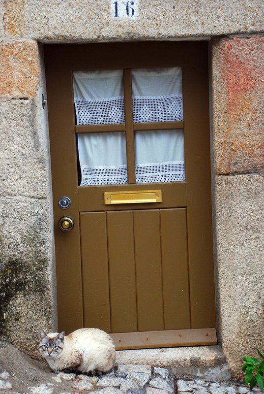 [Resize+of+DSC_3554.JPG]