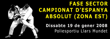 Imatge de la fase del Sector Est del campionat d'Espanya de Judo