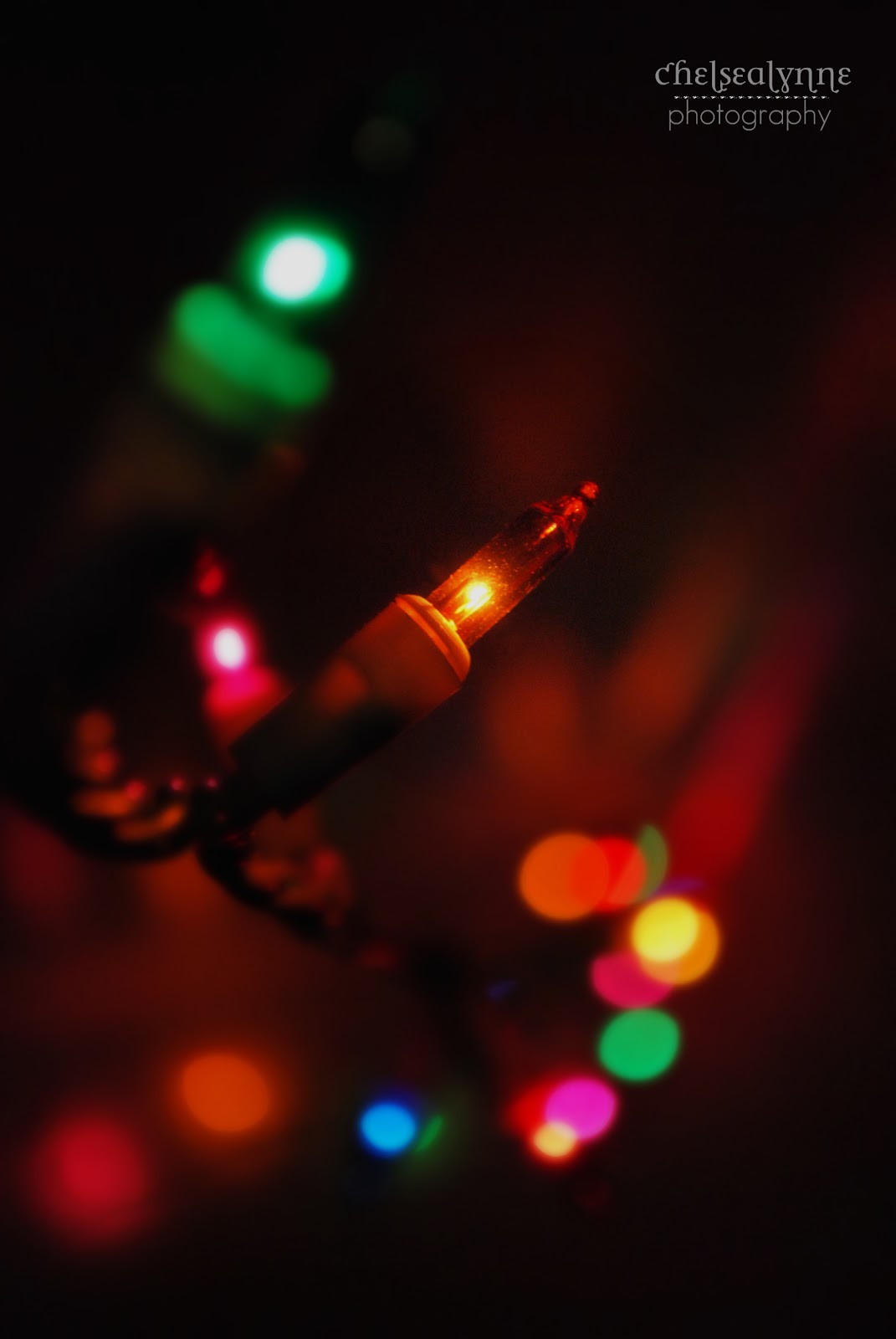 ChelseaLynnePhotography Christmas Lights