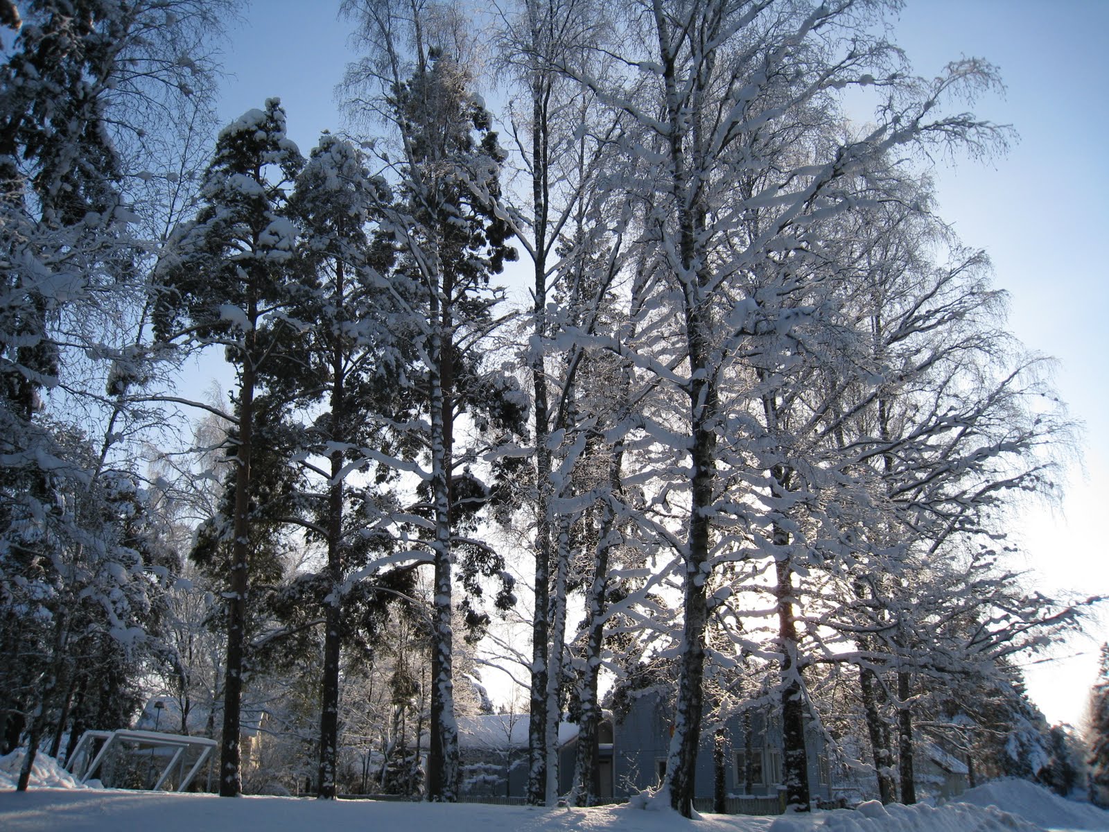 [Helsinki+-+Inverno+com+Sol+(107).JPG]