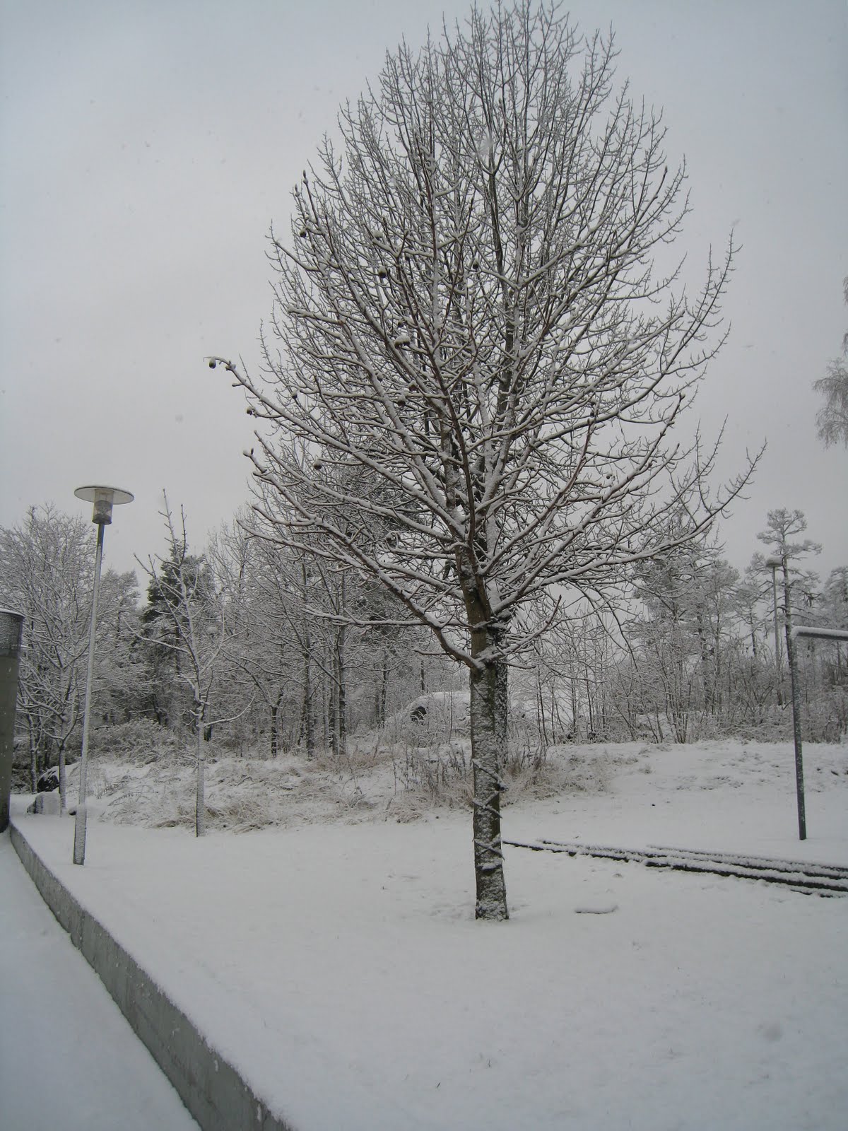 [Helsinki+-+Neve+(55).JPG]