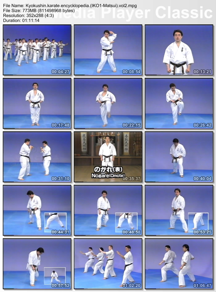 [DVD+video+beladiri+kyokushin+karate.jpg]