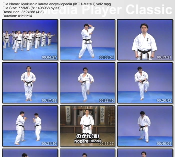 karate tutorial ebook
