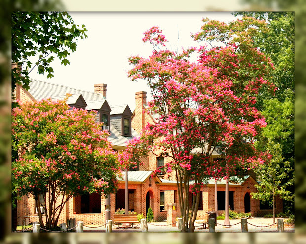 living in williamsburg virginia