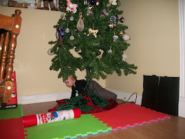 Mommy, you left an ornament under the Christmas tree!  31Dec09