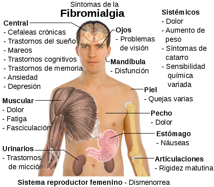 Sintomas Del Vih. lceras genitales,el vih o