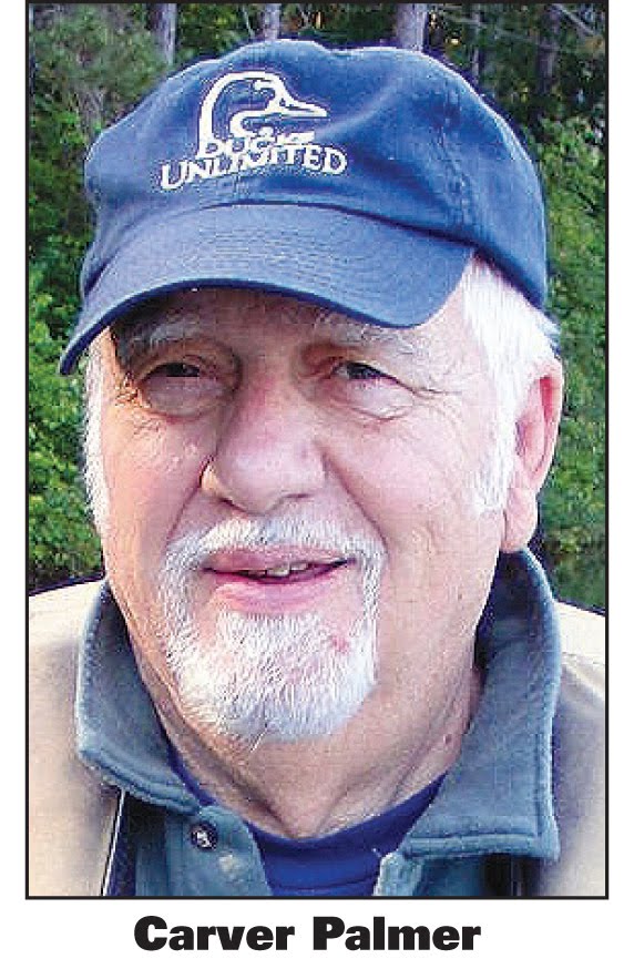 emily stevens decatur ga