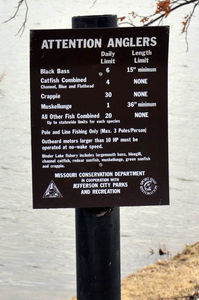 Imposing Bag Limits on Sport Fishing How many fish should you keep? She's So Fly Outdoor News