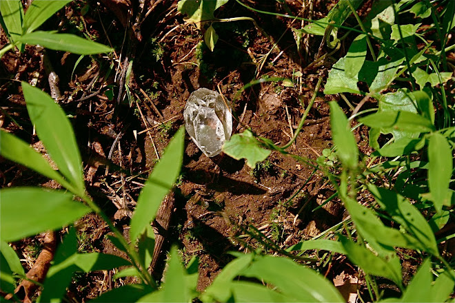 A Solitary Witch... diamond in the rough