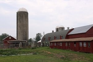 Readington River Buffalo Company