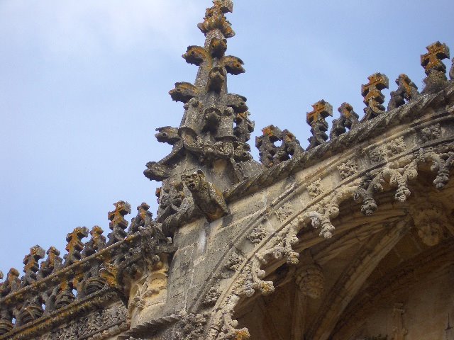 [CIMG3653.JPG]