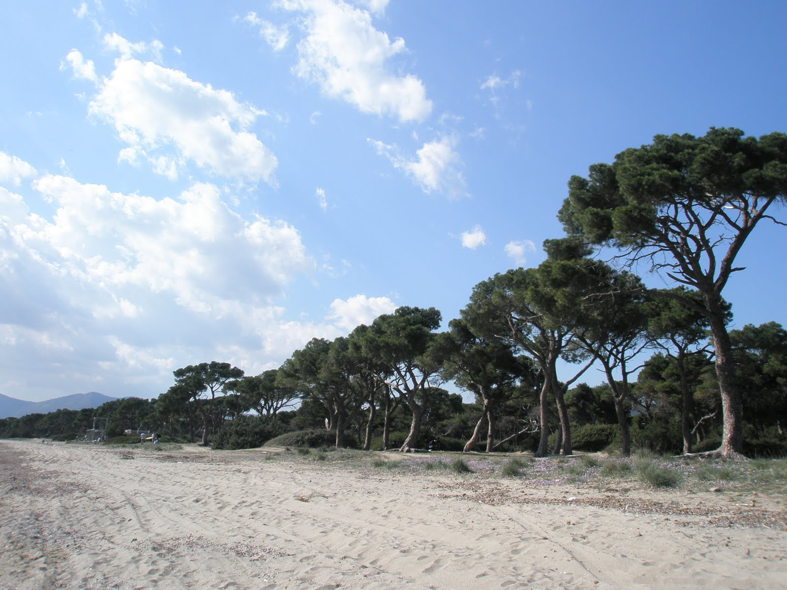 Schinias Beach