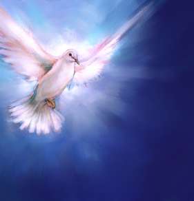 [HolySpirit]