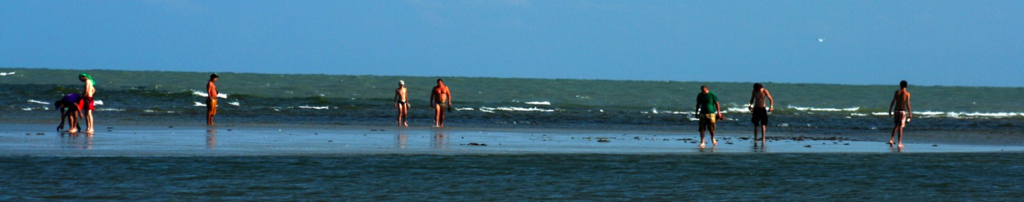 [IMG_1121.jpg]