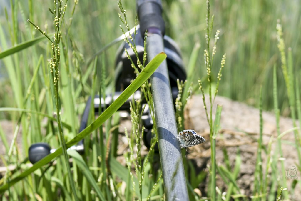 [IMG_0783mic.jpg]